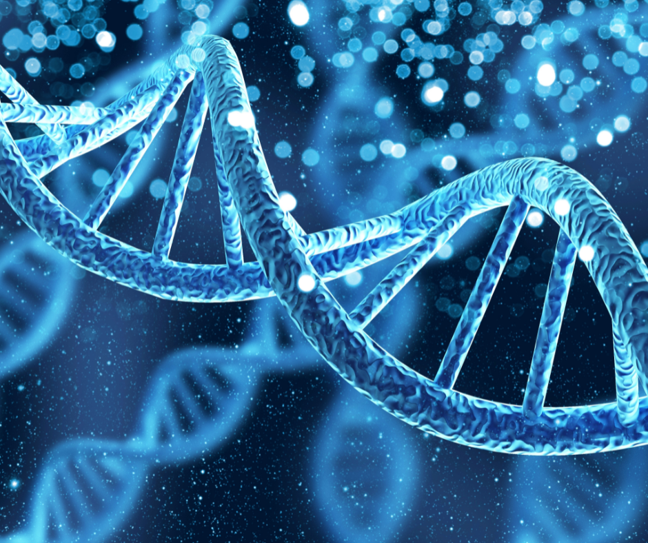 zoomed in dna