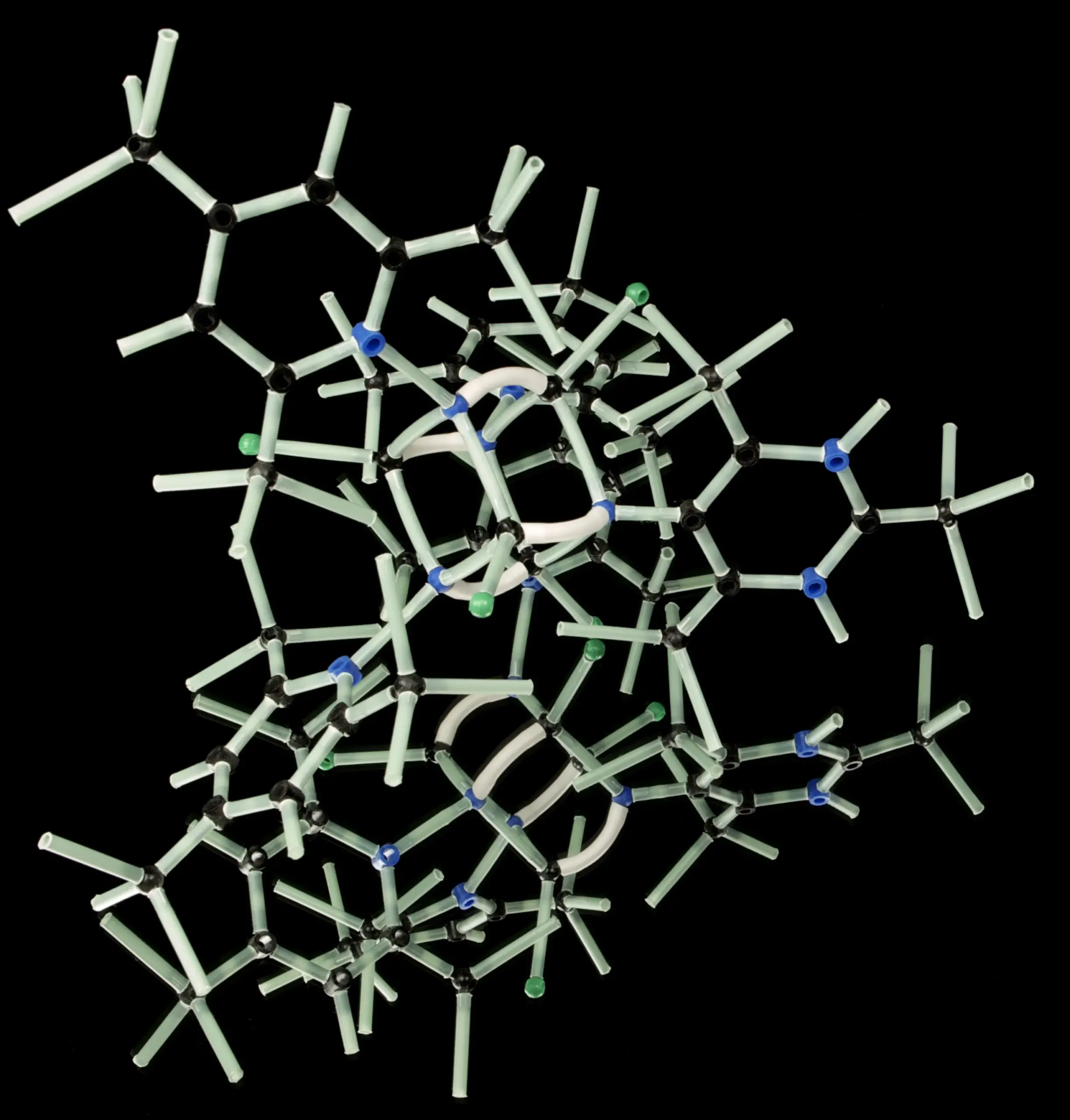 genetics model